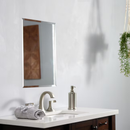 Project Source 16-in x 20-in Surface/Recessed Mount Frameless Mirrored Rectangle Medicine Cabinet