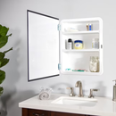 Project Source 16-in x 20-in Surface/Recessed Mount Frameless Mirrored Rectangle Medicine Cabinet