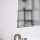 Project Source 16-in x 20-in Surface/Recessed Mount Frameless Mirrored Rectangle Medicine Cabinet