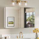 TETOTE 24 x 36 in White Frameless Surface/Recessed Aluminum Mirrored Rectangle Medicine Cabinet With Adjustable Shelves
