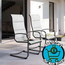 Nuu Garden Patio Chairs Set of 2 Black Iron Frame C-spring Dining Chair with Gray Solid Seat