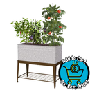 Style Selections 20.0-in W x 26.0-in L x 36-in H Rust Metal Rectangle Raised Planter Box