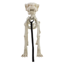 Skeleton Dog with Light Up Eyes, 4ft Height, Halloween