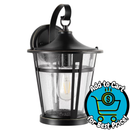 SAFAVIEH Raine LED Black Aluminium Outdoor Wall Sconce with Clear Glass Shade