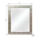 allen + roth 27-in W x 33.0-in H Rectangle Glitzy silver Framed Framed Wall Mirror