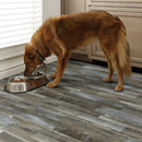 COREtec Floors Monroe Oak 12-mil x 5-in W x 48-in L Waterproof Click Lock Luxury Vinyl Plank Flooring ( 18.35-sq ft Per Carton )