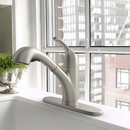 Project Source EVERFIELD Kitchen Faucet Stainless Steel Single Handle Deck-mount Pull out with Sprayer