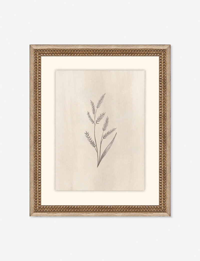 Lulu and Georgia Elegant Botanical II Wall Art by Makai Howell
