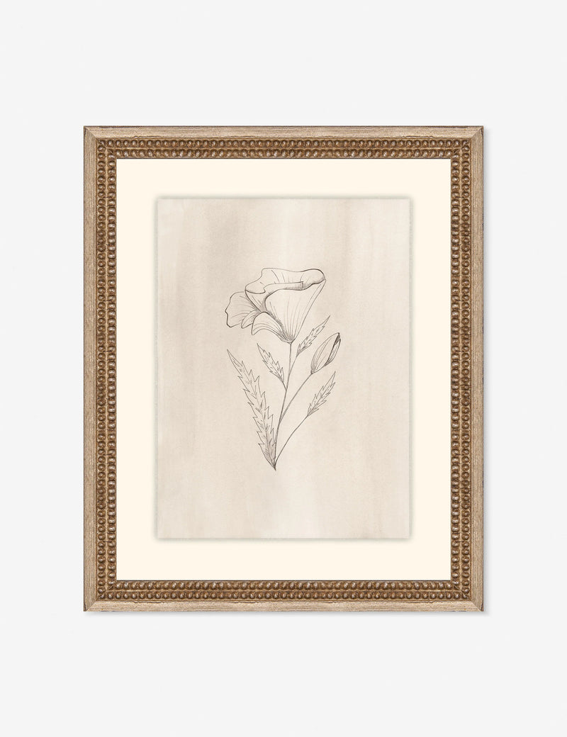 Lulu and Georgia  Elegant Botanical III Wall Art by Makai Howell