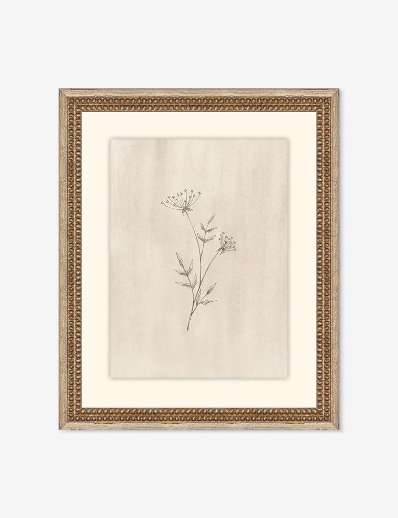 Lulu and Georgia  Elegant Botanical IV Wall Art by Makai Howell