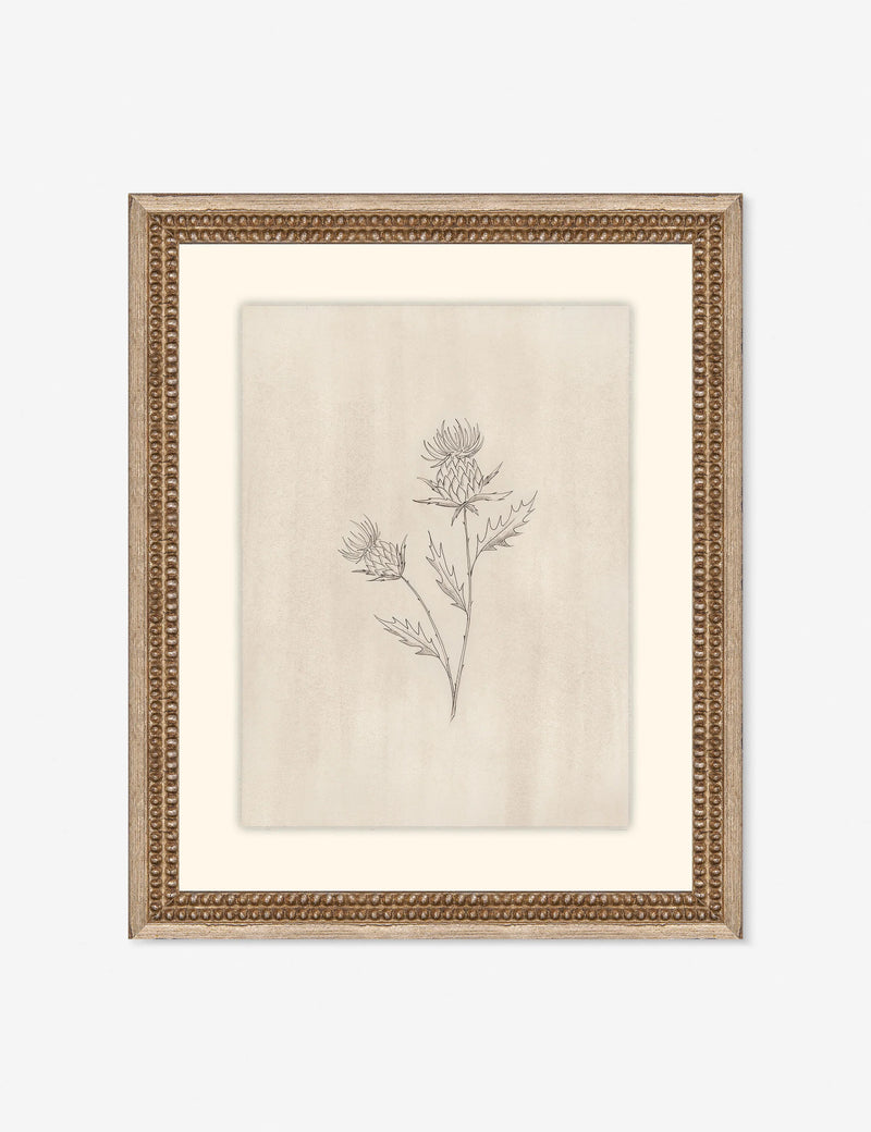 Lulu and Georgia  Elegant Botanical V Wall Art by Makai Howell