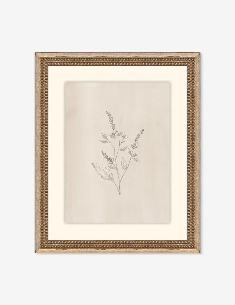 Lulu and Georgia Elegant Botanical VI Wall Art by Makai Howell