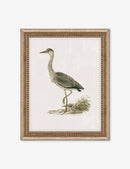 Lulu And Georgia Heron Friend II Wall Art