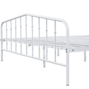 Furniture of America Cristelle Metal White Full-size Platform Bed
