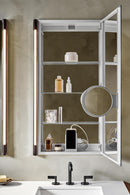 Robern 20"x40" PL Medicine Cabinet