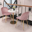 Willa Arlo Interiors Velvet Rose Upholstered Modern Dining Chairs, Set of 2