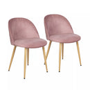 Willa Arlo Interiors Velvet Rose Upholstered Modern Dining Chairs, Set of 2