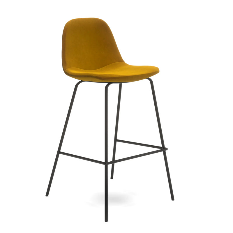 Kody Bar & Counter Stool 1 Count