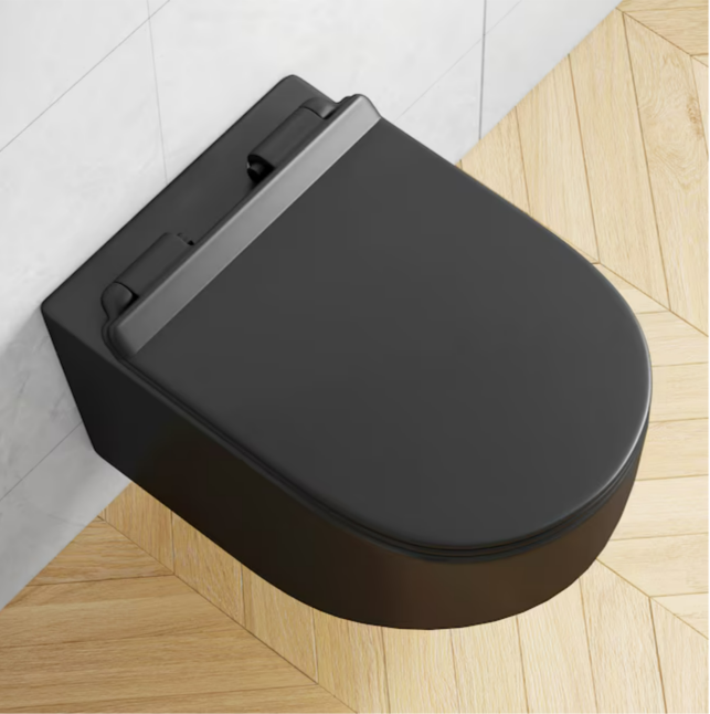 Eridanus Hampton Matte Black D-shape Wall-hung Dual Slow Close Toilet