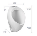 Mansfield 0.13GPF (0.49 LPF) White WaterSense Wall-mounted Urinal