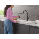 Delta Nicoli 1.8 GPM Single Hole Pull Down Kitchen Faucet - Includes Escutcheon