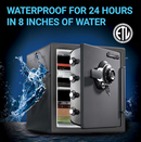 SentrySafe 1.2-cu ft Fire Resistant Waterproof Home safe with Combination Lock