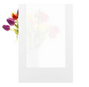 RELIABILT 30" x 80" Marigold Solid Core 5-panel Frosted glass Left Hand Inswing Pine Wood Single Prehung Interior Door