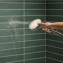 Kohler Hydrorail 3-in-1 Shower System Brushed NIckel