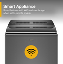 Whirlpool 5.2 - 5.3 cu. ft. Top Load Washer with 2 in 1 Removable Agitator