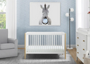 Delta Children Casey 4-in-1 Convertible Crib, Bianca White/Natural