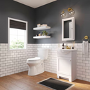 Style Selections 15" x 25" Recessed Mount True White Mirrored Rectangle Medicine Cabinet