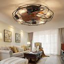 HOOMEDELIER  20" Farmhouse Black Ceiling Fan with Light (3 Blades and Remote Included)