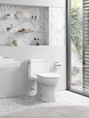 TOTO Eco UltraMax 1 Piece Elongated Toilet
