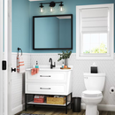 allen + roth 30-in x 36-in Framed Rectangle Bathroom Vanity Mirror (Black)