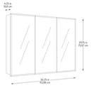 Style Selections In Surface Mount True White Mirrored Rectangle Medicine Cabinet