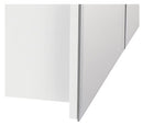 Style Selections In Surface Mount True White Mirrored Rectangle Medicine Cabinet