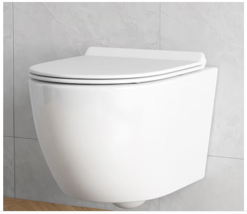 Eridanus Hampton White D-shape Custom Height Wall-Hung Rough-In Dual Flush  1-piece Toilet