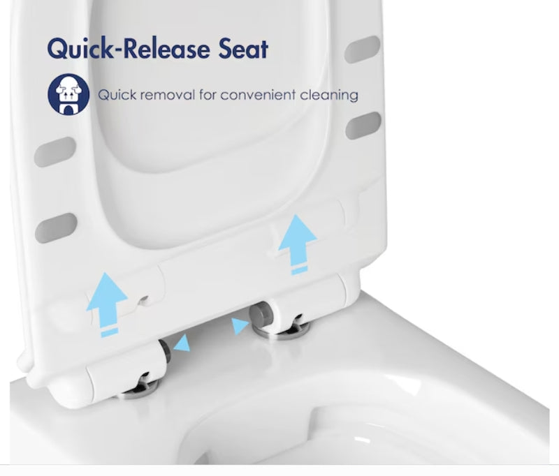 Eridanus Hampton White D-shape Custom Height Wall-Hung Rough-In Dual Flush  1-piece Toilet