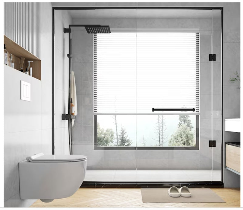 Eridanus Hampton White D-shape Custom Height Wall-Hung Rough-In Dual Flush  1-piece Toilet