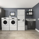 Whirlpool 7.4-cu ft Coin-Operated Electric Commercial Dryer