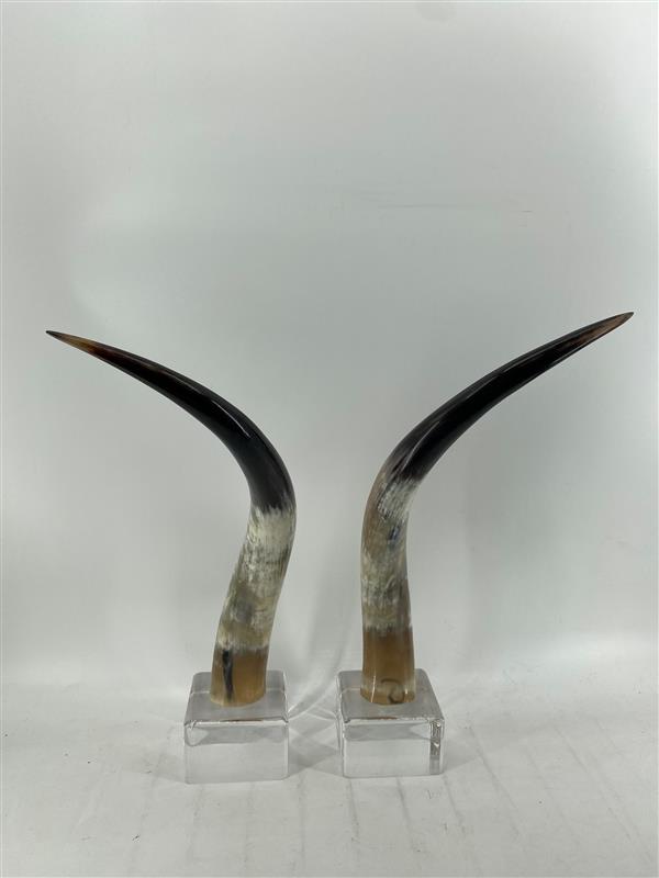 Horn Decor Sculpture Pair