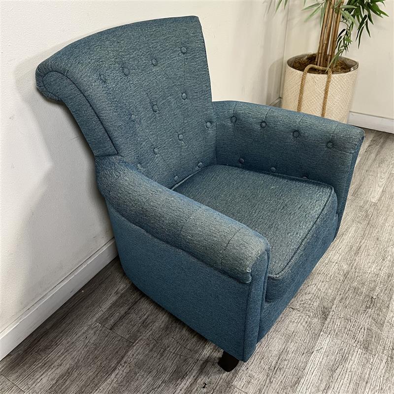 Madison Park Timmy Tufted Club Chair