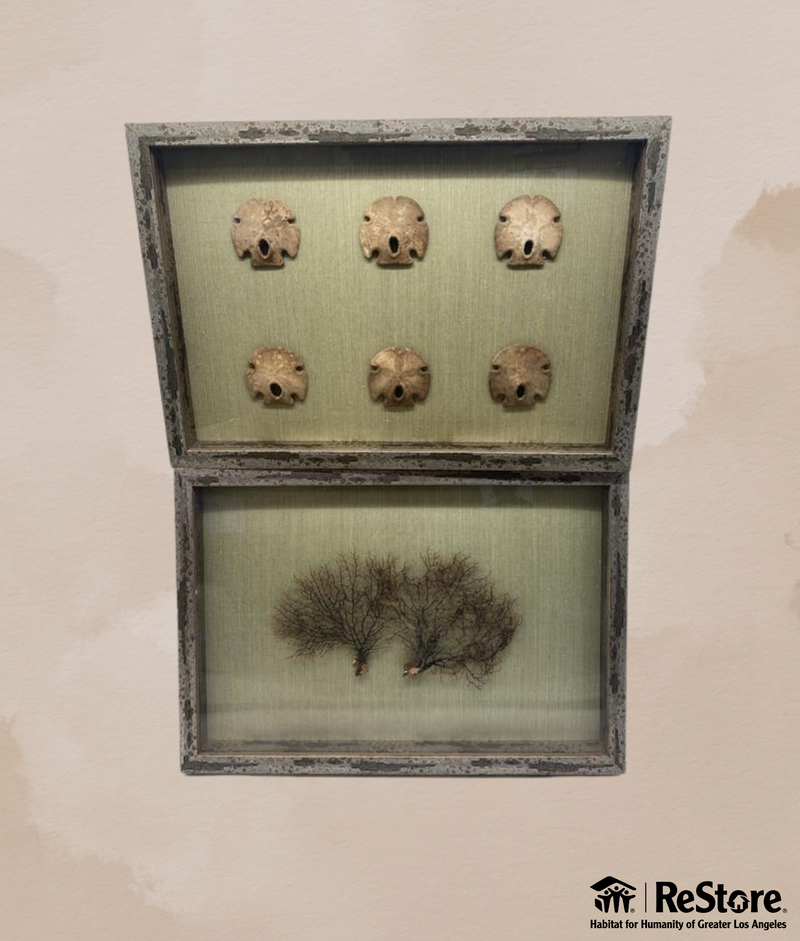 Rustic Sea Fossil and Coral Wall Art Duo