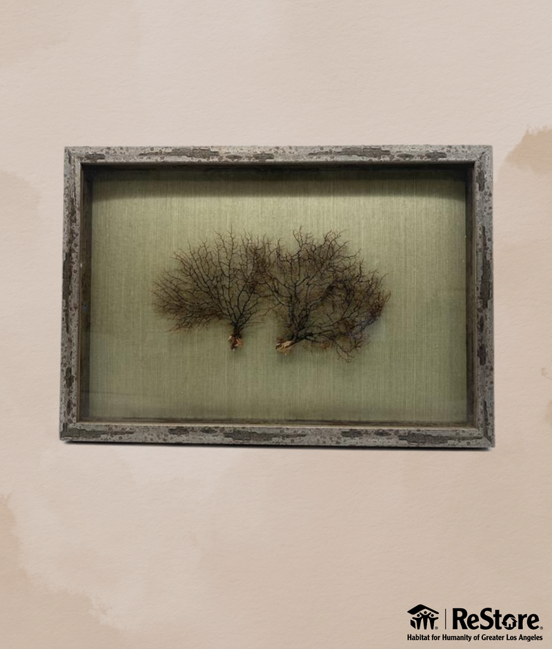 Rustic Sea Fossil and Coral Wall Art Duo