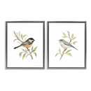 Stupell Industries 17x201Small Birds on Branches Painting 2-Piece Set - Gray Framed