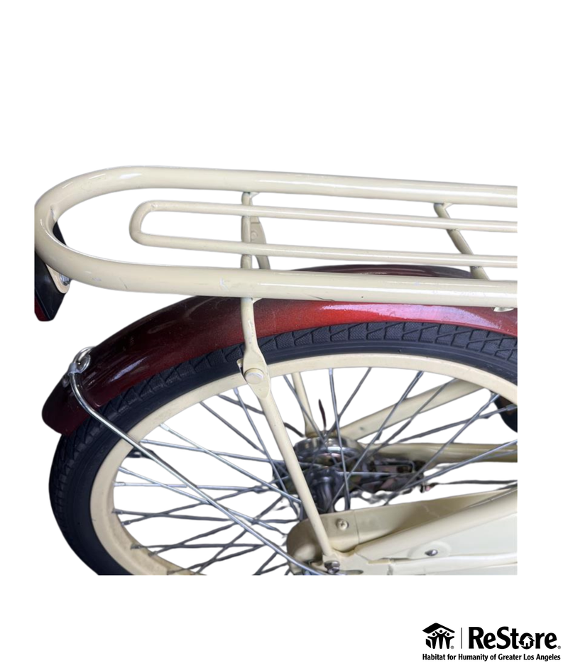 Coewske 20 Inch Fantasy-Style Kids Bike