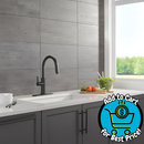 Delta Nicoli 1.8 GPM Single Hole Pull Down Kitchen Faucet - Includes Escutcheon