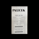 Palecek Valencia Arm Chair