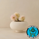 Lulu and Georgia  Coperta Bowl