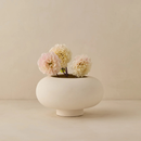 Lulu and Georgia  Coperta Bowl